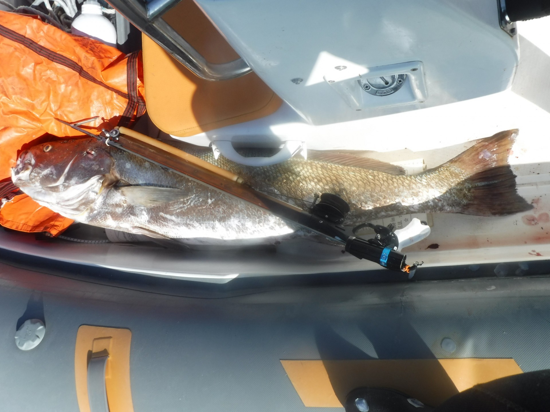  ROLLER 65 COURBINE 21KG