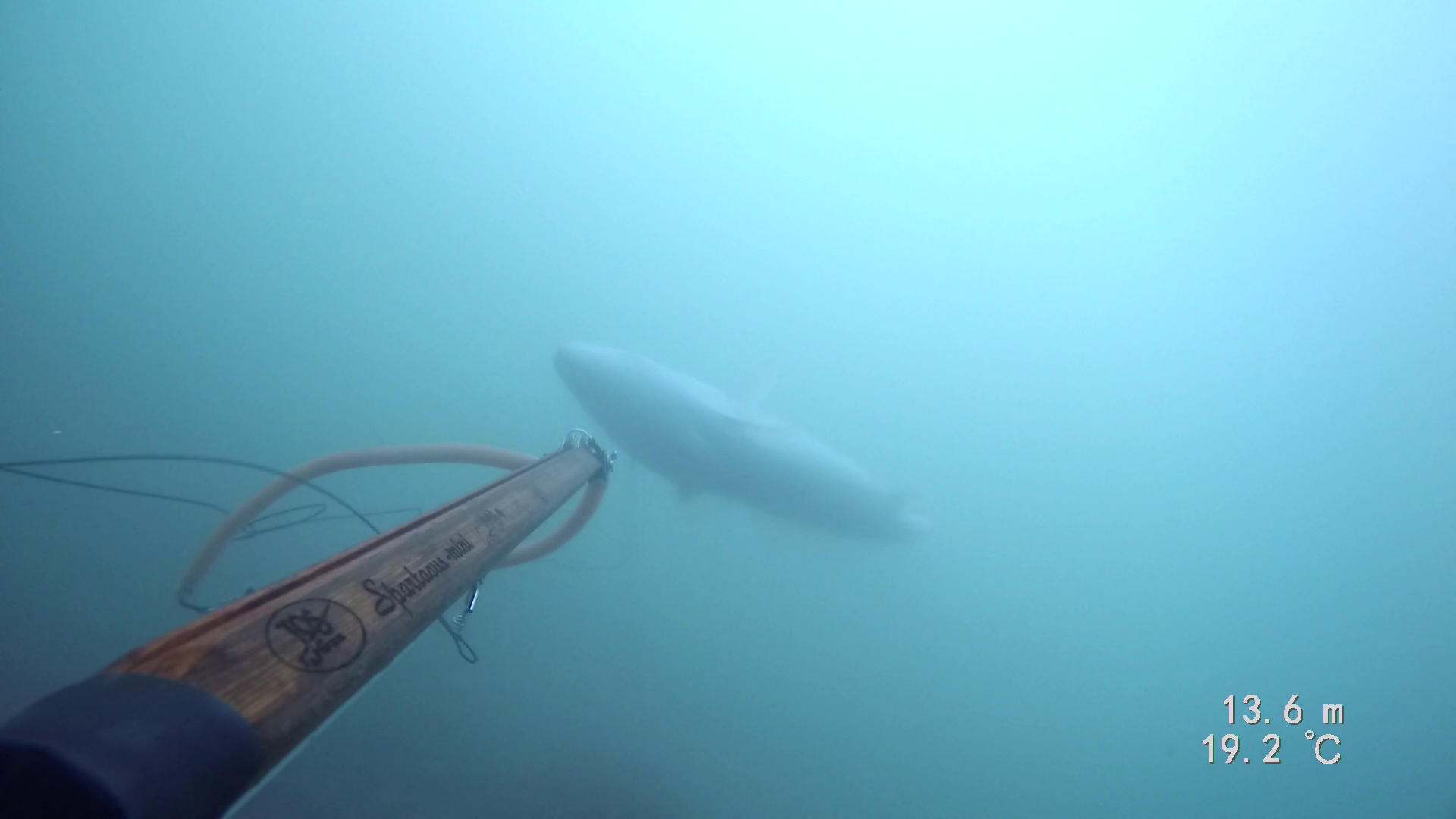 kILL SHOOT ROLLER 65 COURBINE 21KG