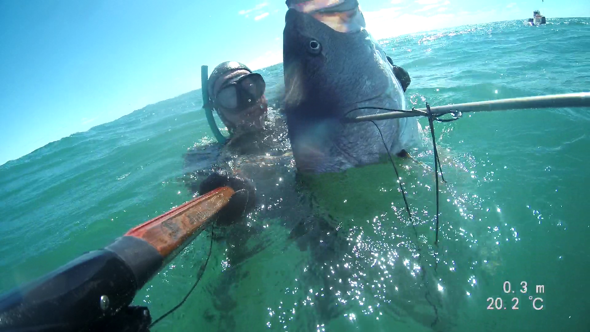 Vlcsnap 2020 07 03 23h25m08s235