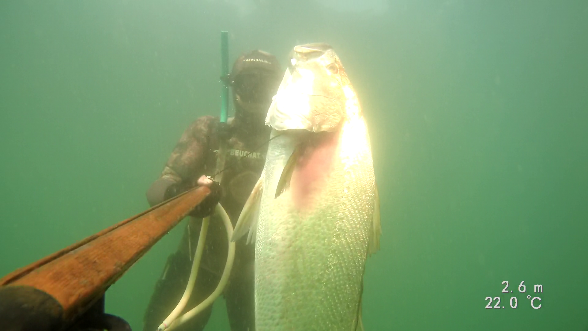 Vlcsnap 2020 08 17 21h50m52s721